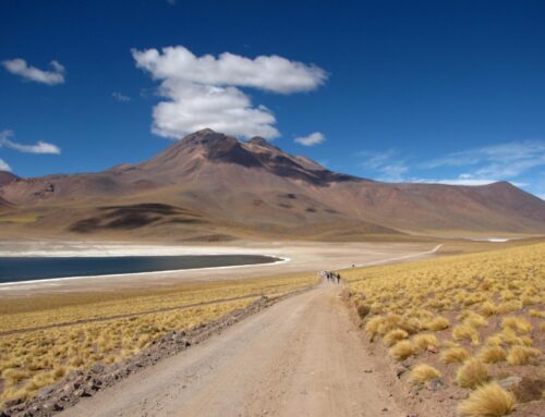 Deserto do Atacama: descubra as exuberantes paisagens do lugar mais árido do planeta